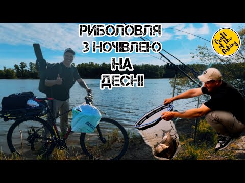 Видео: Риболовля з ночівлею на ДЕСНІ❗️Травневий ФІДЕР на річці🏕️