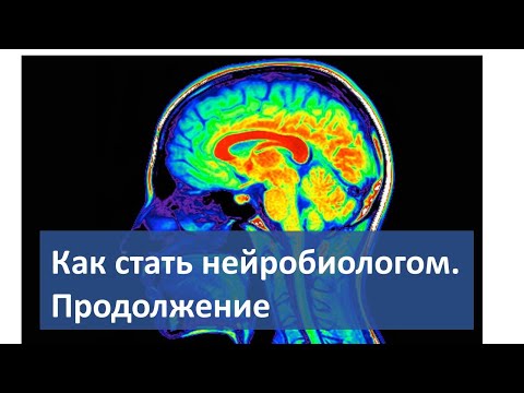 Видео: Как стать нейробиологом. Продолжение. Ответы на вопросы
