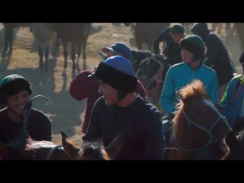 Видео: Келес ауданы. Ынтымақ ауылы. Сарсенбековтар әулетіндегі көкпар.