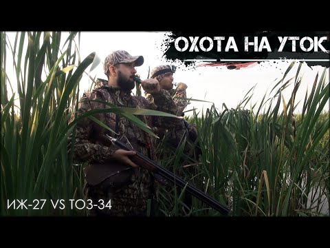 Видео: Охота на уток на вечерней зорьке | Охота с собаками, осень 2020| ИЖ-27 VS ТОЗ-34