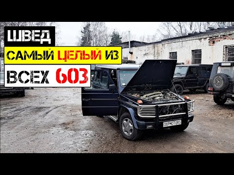 Видео: Швед 🇸🇪 Самый целый Гелик из всех 603🔥