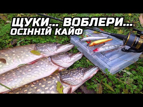 Видео: ✅️ВОБЛЕРИ... ЩУКИ...ОСІННІЙ КАЙФ 😎