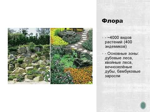 Видео: География Корейского полуострова