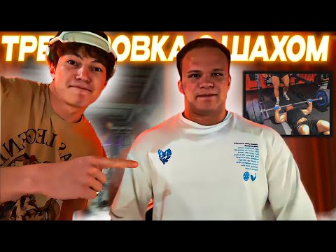 Видео: МИНИ ПЕККА и ЛАВ СОСА ТРЕНИРОВКА | НЕОБЫЧНЫЙ ЖИМ ОТ ГРИШИ БОРЩА | ПРОГРЕСС В НАБОРЕ ВЕСА
