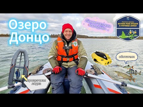 Видео: Озеро Донцо: исток реки Оредеж, подводная съёмка дроном и прозрачная лодка. Ленинградские Мальдивы