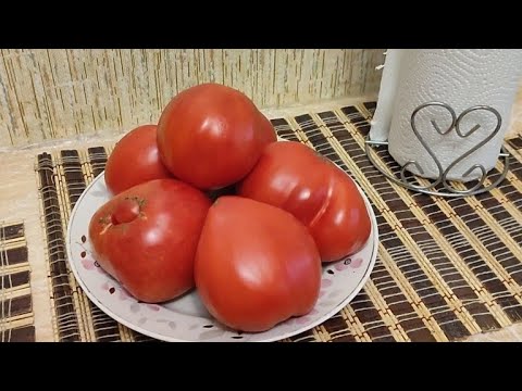 Видео: Самый лёгкий способ переработать помидоры. Томатная паста 🍅 Классная дача. Костанай.