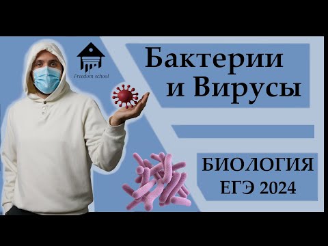 Видео: Бактерии и Вирусы для ЕГЭ 2024 |ЕГЭ БИОЛОГИЯ|Freedom|