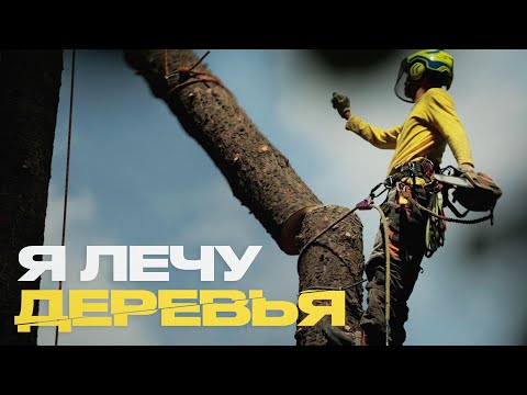 Видео: Вы не слышали об этой профессии, но результаты труда точно видели. Кто такой арборист?
