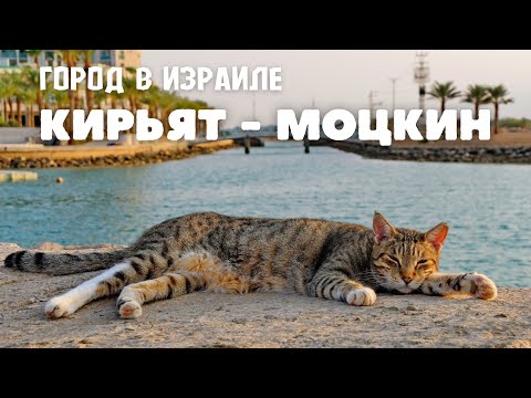 Видео: Кирьят-Моцкин - ЛУЧШИЙ пригород Хайфы.