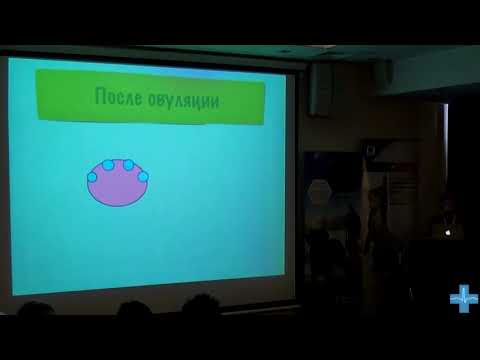 Видео: Определение оптимальных сроков вязки у собак