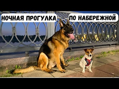 Видео: НОЧНАЯ ПРОГУЛКА с Грандом и Тори [влог] - летняя жара