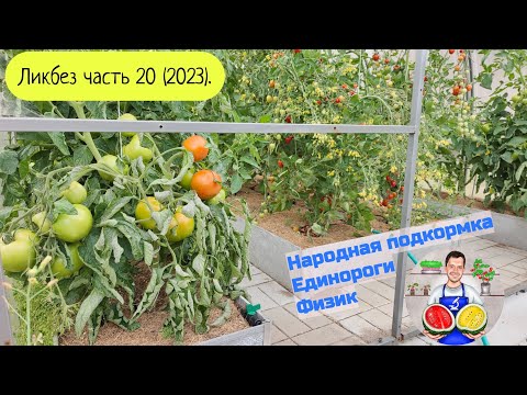 Видео: Ликбез часть 20 (2023). Единороги в саду и в огороде.