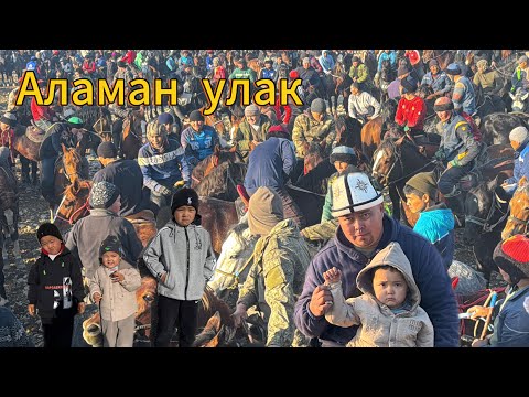 Видео: Сейит байдын улагы соорунду чачты