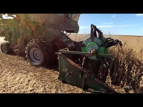 Видео: Уборка сои 2019 предшественник пшеница.