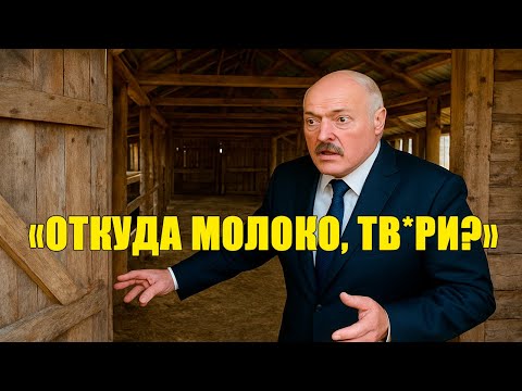 Видео: «Ферма без коров» — Лукашенко проверил двор, а доить оказалось некого