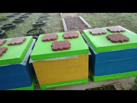 Видео: Как зимовать в Деревянном Улье с Сетчатым Дном!!!