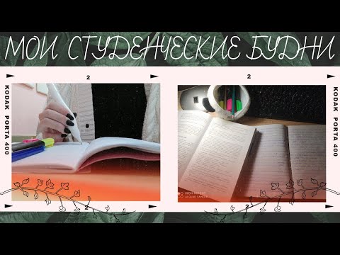 Видео: Один день из жизни студентки Пед. колледжа/ STUDY WITH ME/ влог #2