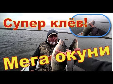 Видео: Мега окунь - Супер клёв  Рыбалка на озере в октябре 2019