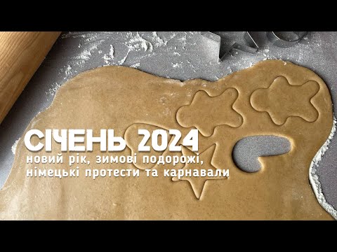 Видео: січень24| новий рік, зимові подорожі, німецькі протести та карнавали