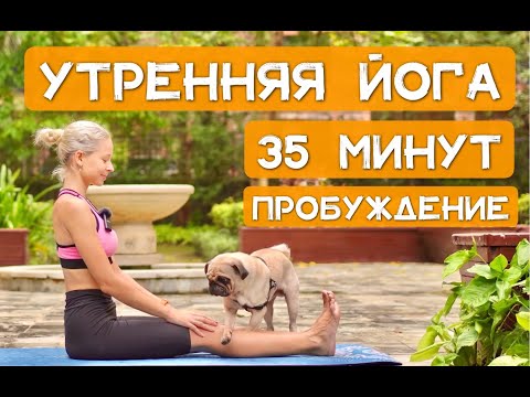 Видео: Утренняя йога | Пробуждение всего тела | Йога утром 35 минут | Бодрая йога | YOGA ISLAND