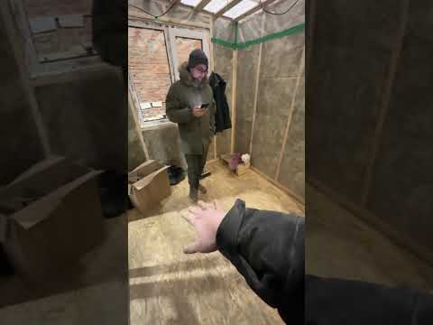 Видео: 21 августа 2025 г.
