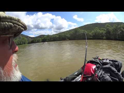 Видео: Мана  Хроника   день пятый