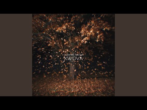 Видео: Осенние листья