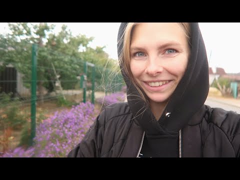 Видео: vlog🍁РАЗОБРАЛИ ШТАБ / ПОСЛЕДНЯЯ МАЛИНА / ПРОПАДАЕТ АДЕНИУМ / НАХОДКА ОТ ПЯТЕН / ЧИСТИМ КОВЕР