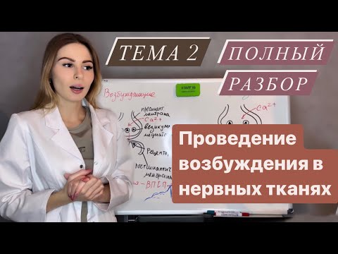 Видео: Физиология возбудимых тканей 2|Проведение возбуждения|Нервные волокна|Синапсы и медиаторы