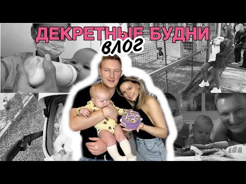 Видео: 🥳МИЛЕ 5 МЕСЯЦЕВ | новый навык | отказ от коляски