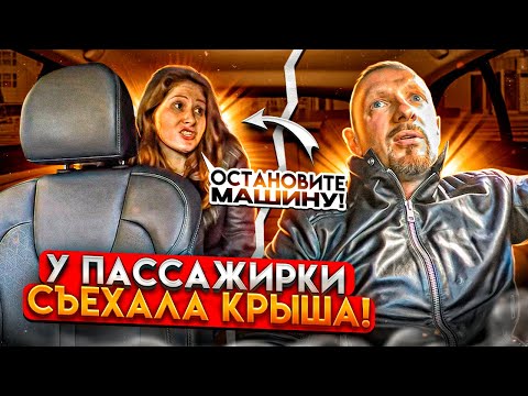 Видео: Злая пассажирка облаяла таксиста