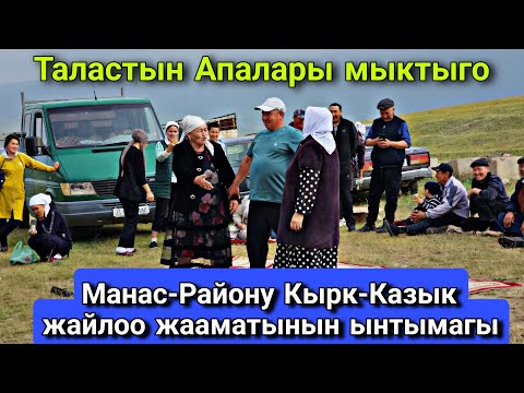 Видео: Манас-Району Кырк-Казык жайлоо жааматынын ынтымагы