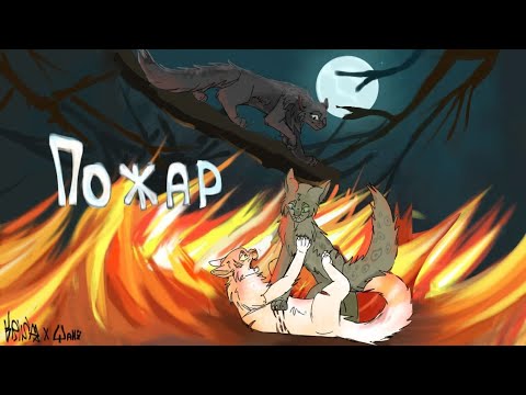 Видео: ПОЖАРЫ ВО WC:UE|как отыграть пожар|как вылечить ожоги|Коты воители|Низкая Овсяница