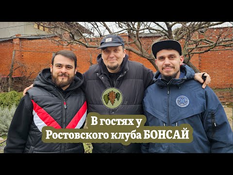 Видео: В гостях у Ростовского клуба Бонсай