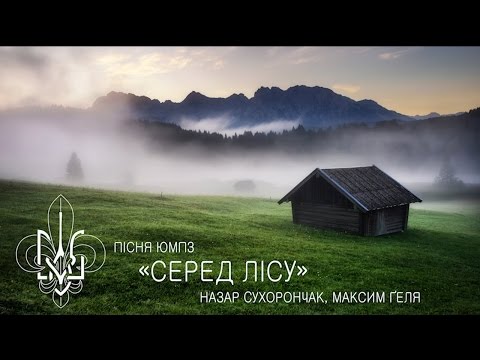 Видео: Серед лісу