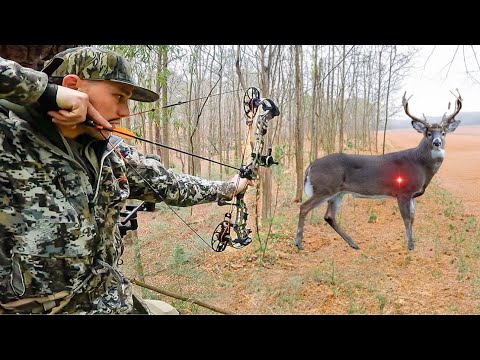 Видео: 15 СМЕРТЕЛЬНЫХ ВЫСТРЕЛОВ из лука во время охоты менее чем за 10 минут!!