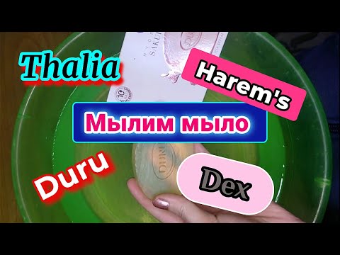 Видео: Мылю турецкое мыло, густая пенка, Duru, Harem's, Thalia, Dex