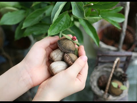 Видео: Мастер-класс. Шьём текстильный гриб.