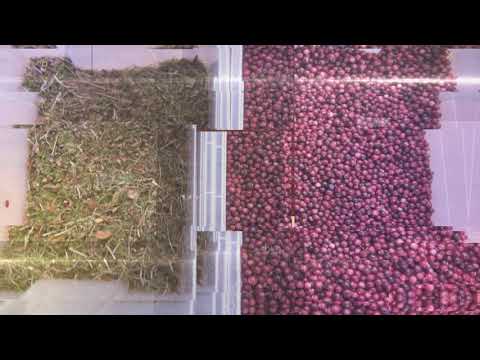 Видео: Веялка для очистки ягод Брус-500 "Ягода-Техно"