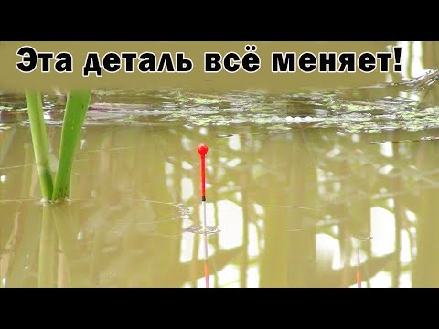 Видео: Хитрость сработавшая по подозрительному карасю! Загадка карася разгадана почти! Спасибо за советы!