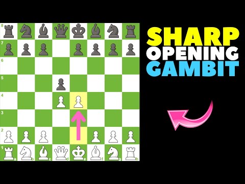 Видео: Дайте волю хаосу с помощью гамбита Блэкмара-Димера