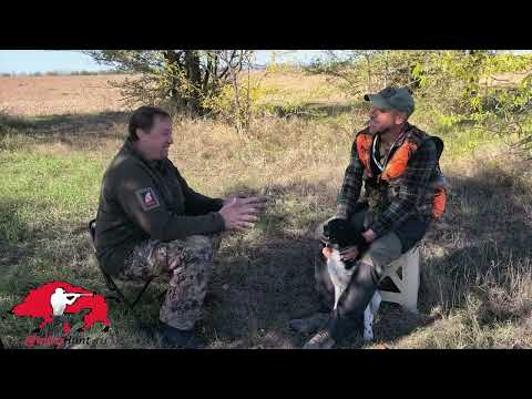 Видео: Охотник об охотнике