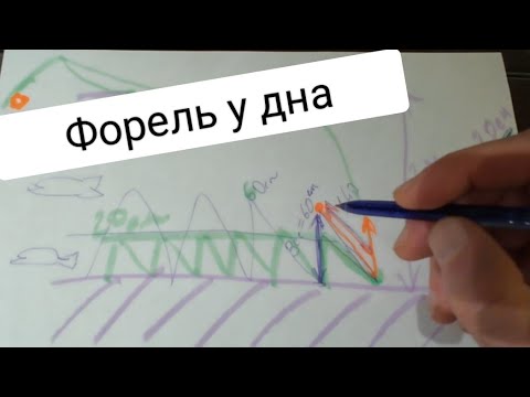 Видео: Форель. Обмен опытом с подписчиками.