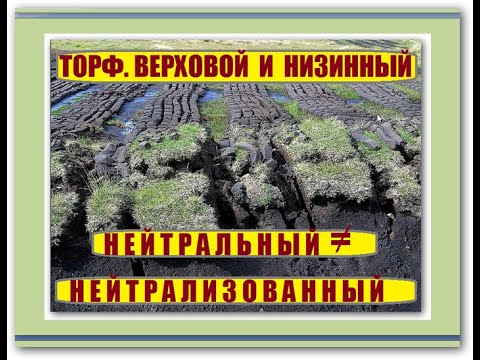 Видео: 167_Торф. Верховой и низинный. Нейтральный и нейтрализованный.