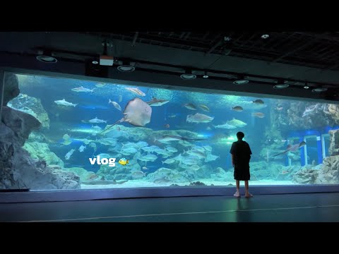 Видео: Аквариум в одиночестве🐠🩵 (интровертный видеоблог, жизнь в одиночестве, что я ем, уютные дни)