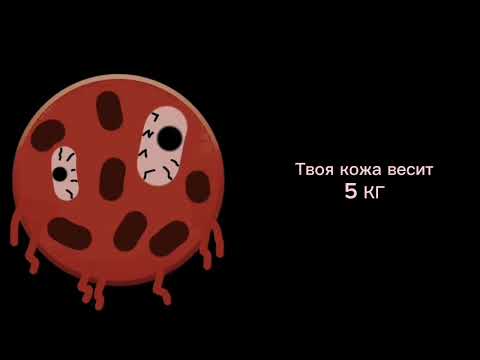 Видео: Жуткие факты: 2часть//ГД лица