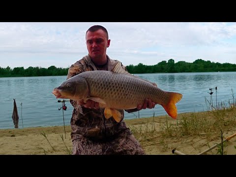 Видео: УДОЧКИ В ДУГУ!!! ФРИКЦИОНЫ ДЫМЯТСЯ !!!