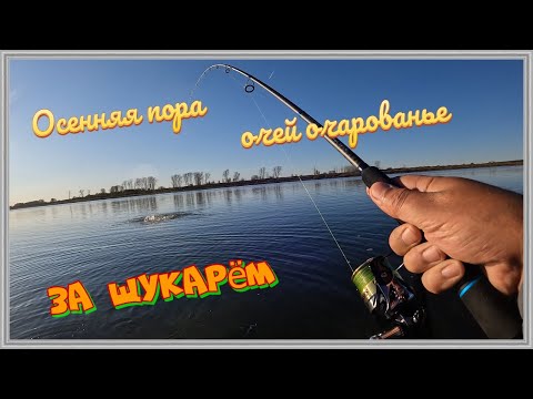 Видео: Осенняя пора очей очарованье.За щукарем.