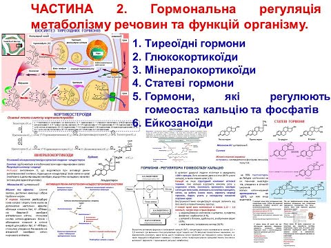 Видео: Крок 1. Гормони. ЧАСТИНА 2. Гормональна регуляція  метаболізму речовин та функцій організму.