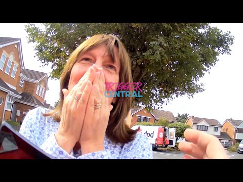 Видео: Даррен Грейнджер - Hedgehog Crossing 🤣